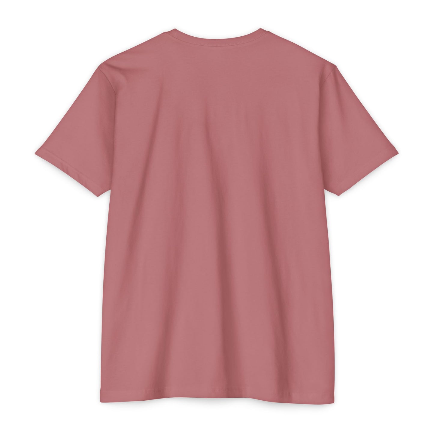 Empowering Quote T-Shirt | Own Your Worth Tee, Inspirational Fashion, Gift for Her, Motivational Apparel, Everyday Style