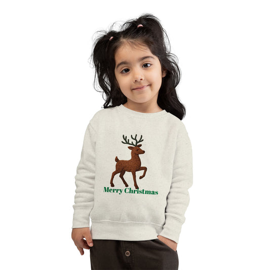 Merry Christmas Toddler Sweatshirt, Holiday Kids Clothing, Cute Reindeer Pullovers, Christmas Gift for Toddlers, Winter Wear