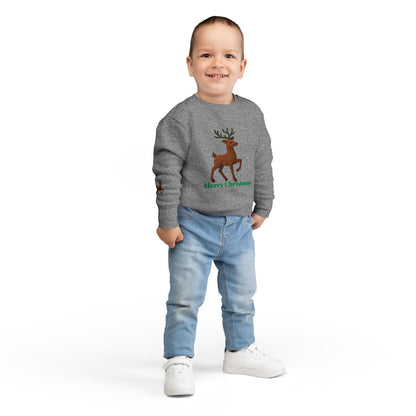 Merry Christmas Toddler Sweatshirt, Holiday Kids Clothing, Cute Reindeer Pullovers, Christmas Gift for Toddlers, Winter Wear